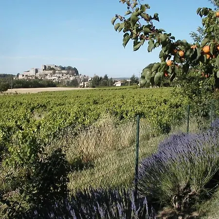 L'olivier