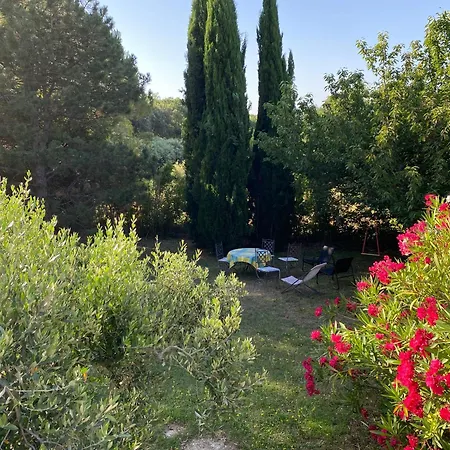 Appartement L'olivier